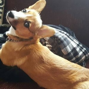 Meet your Posher, Colleen